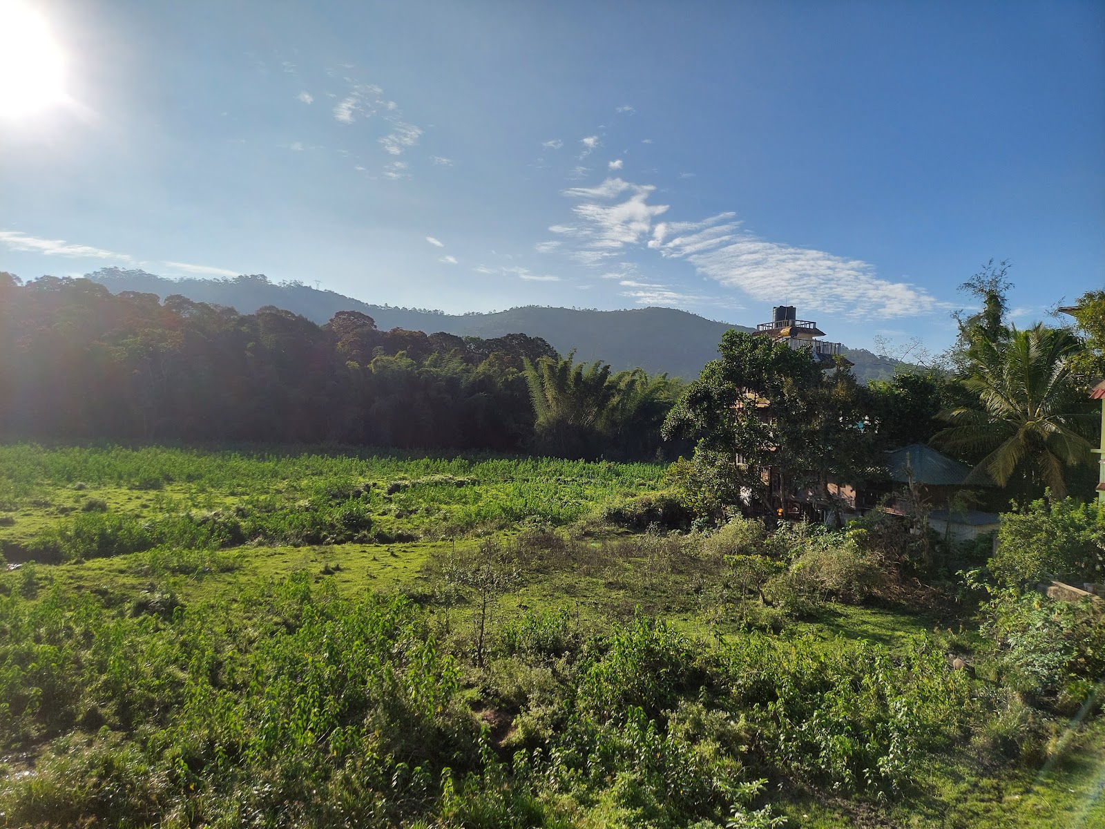 Periyar National Park