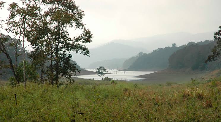 Periyar Tiger Trail