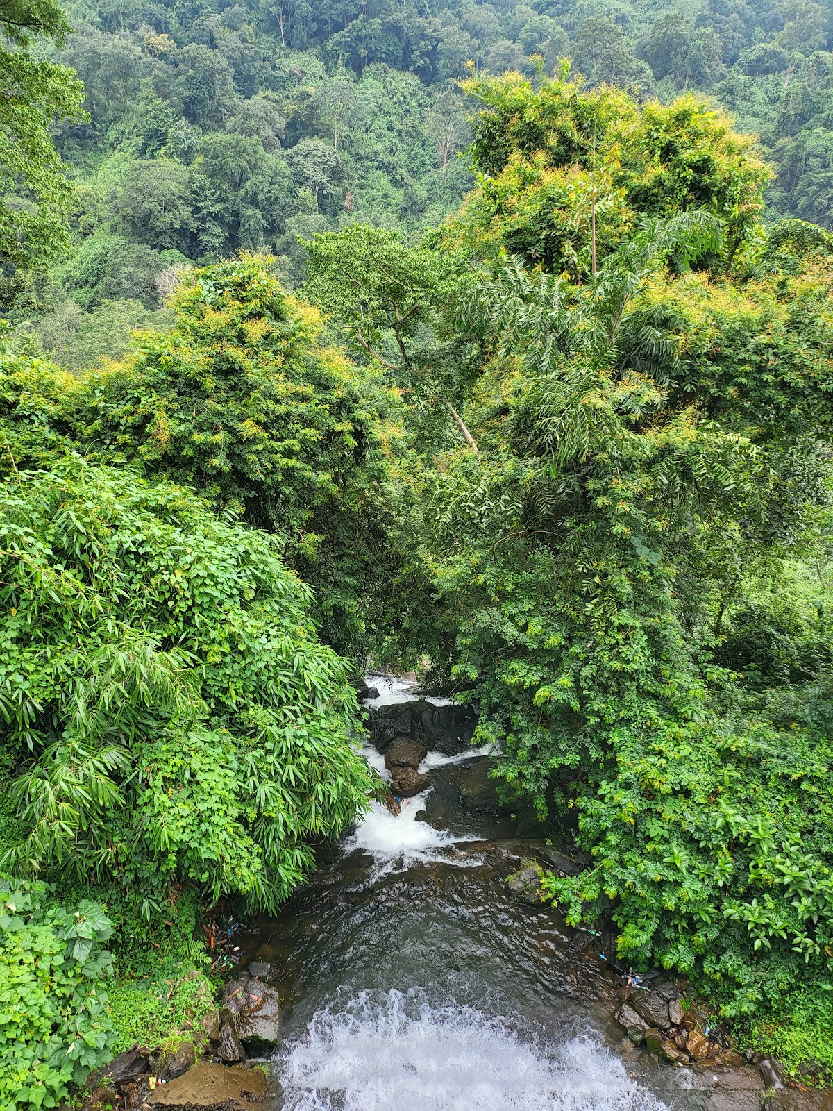 Cheeyappara Waterfalls
