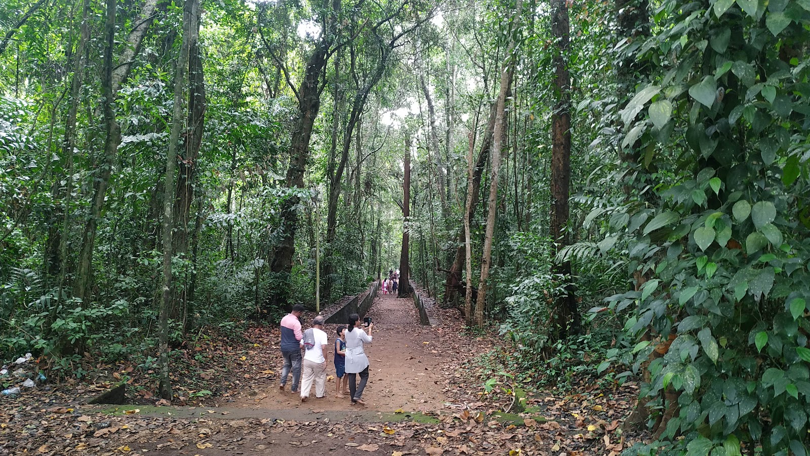 Iringole Forest Temple