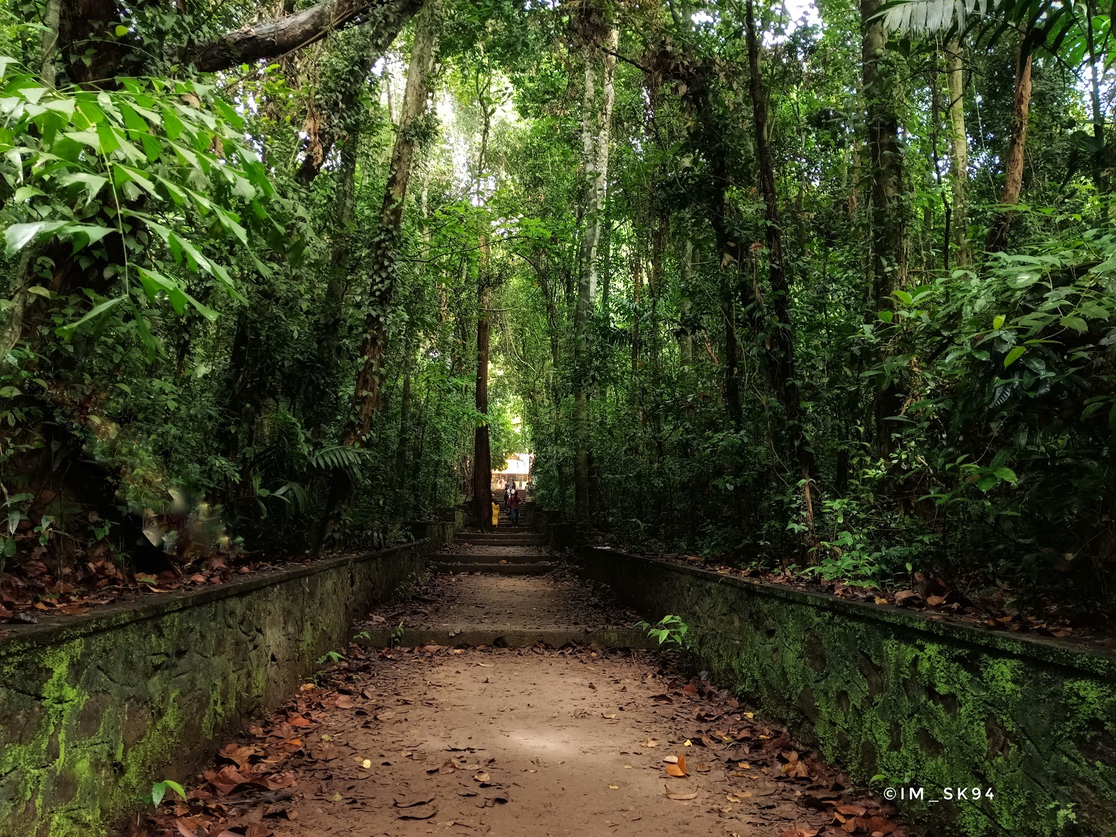 Iringole Forest Temple