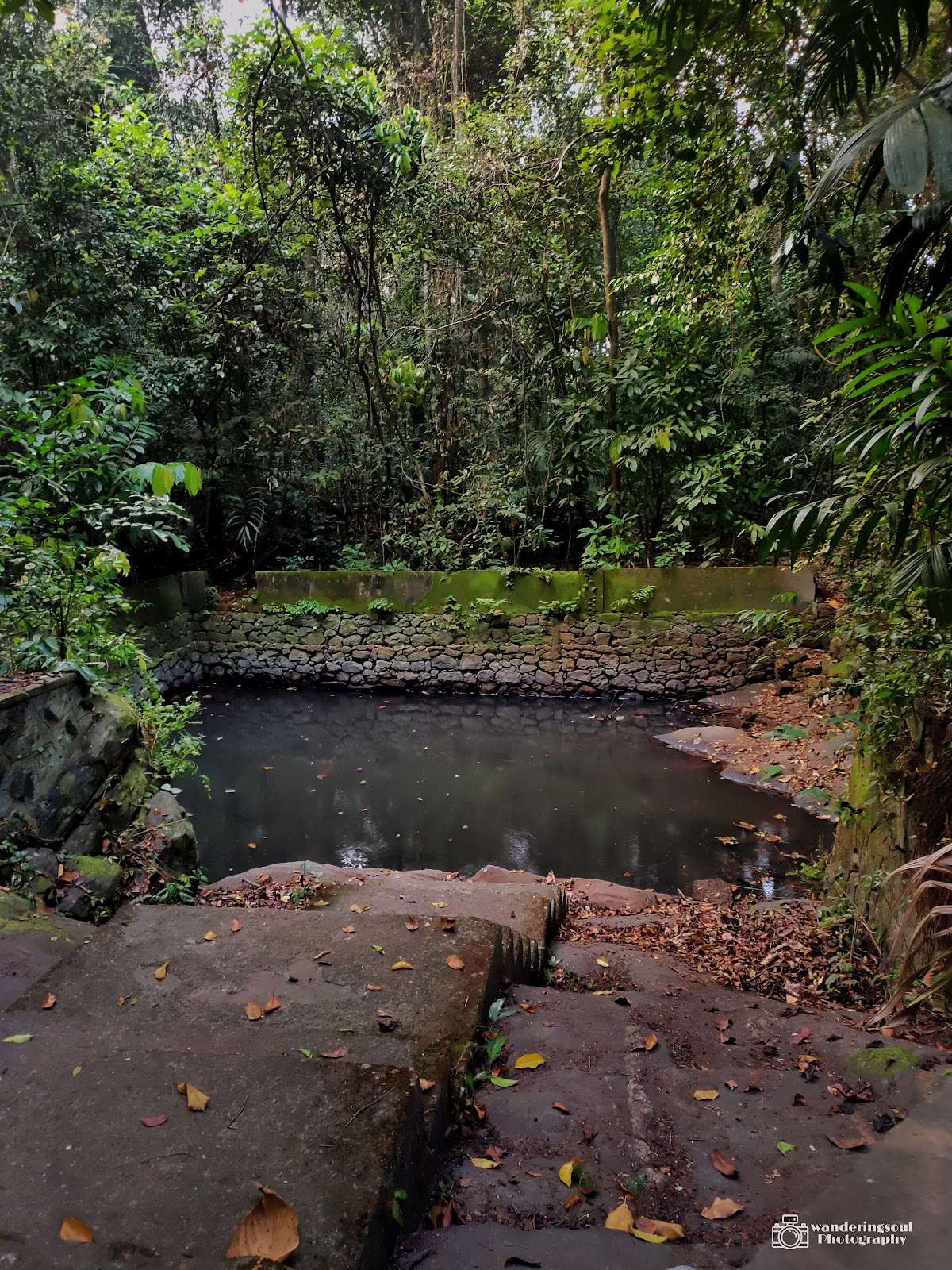 Iringole Forest Temple