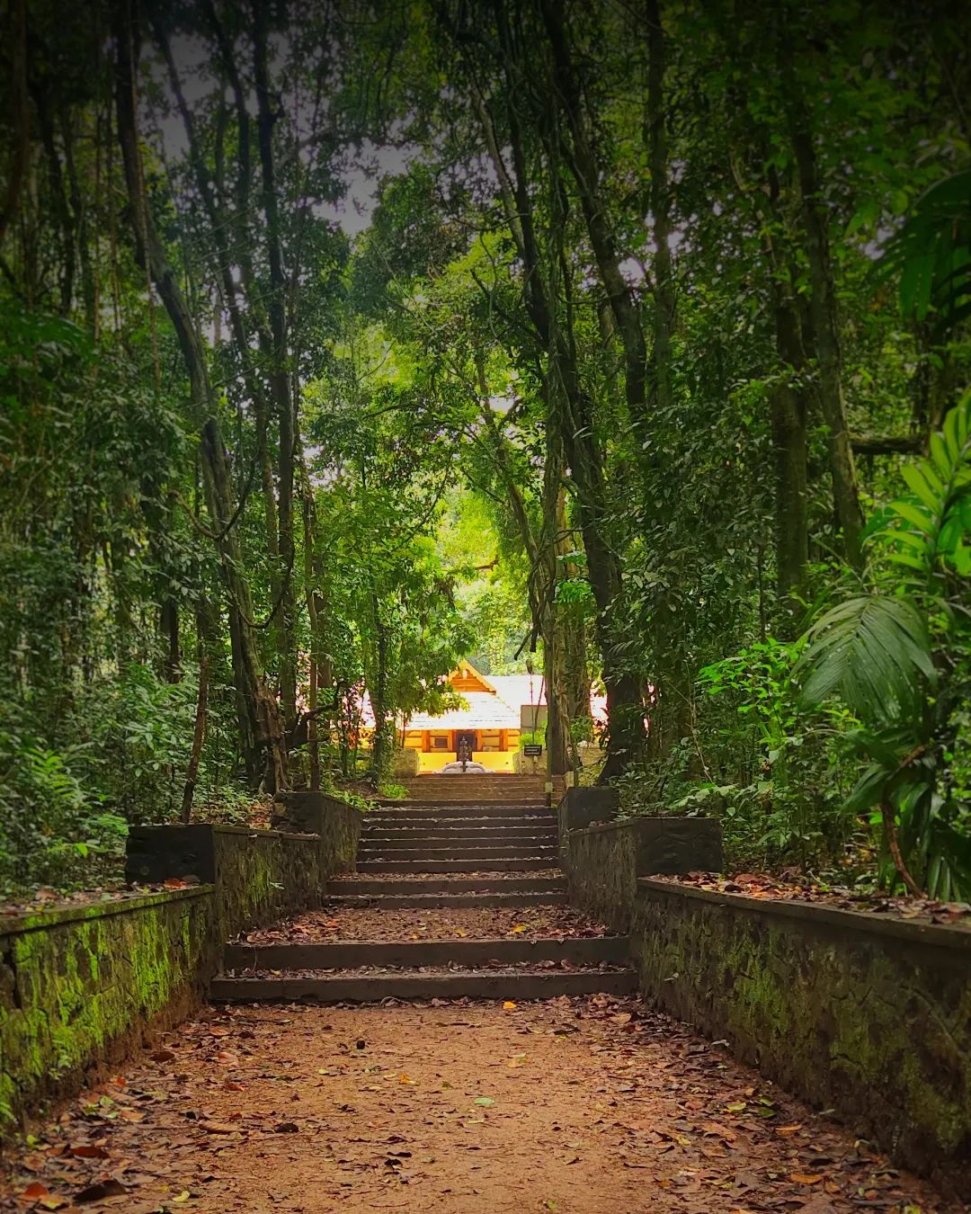 Iringole Forest Temple