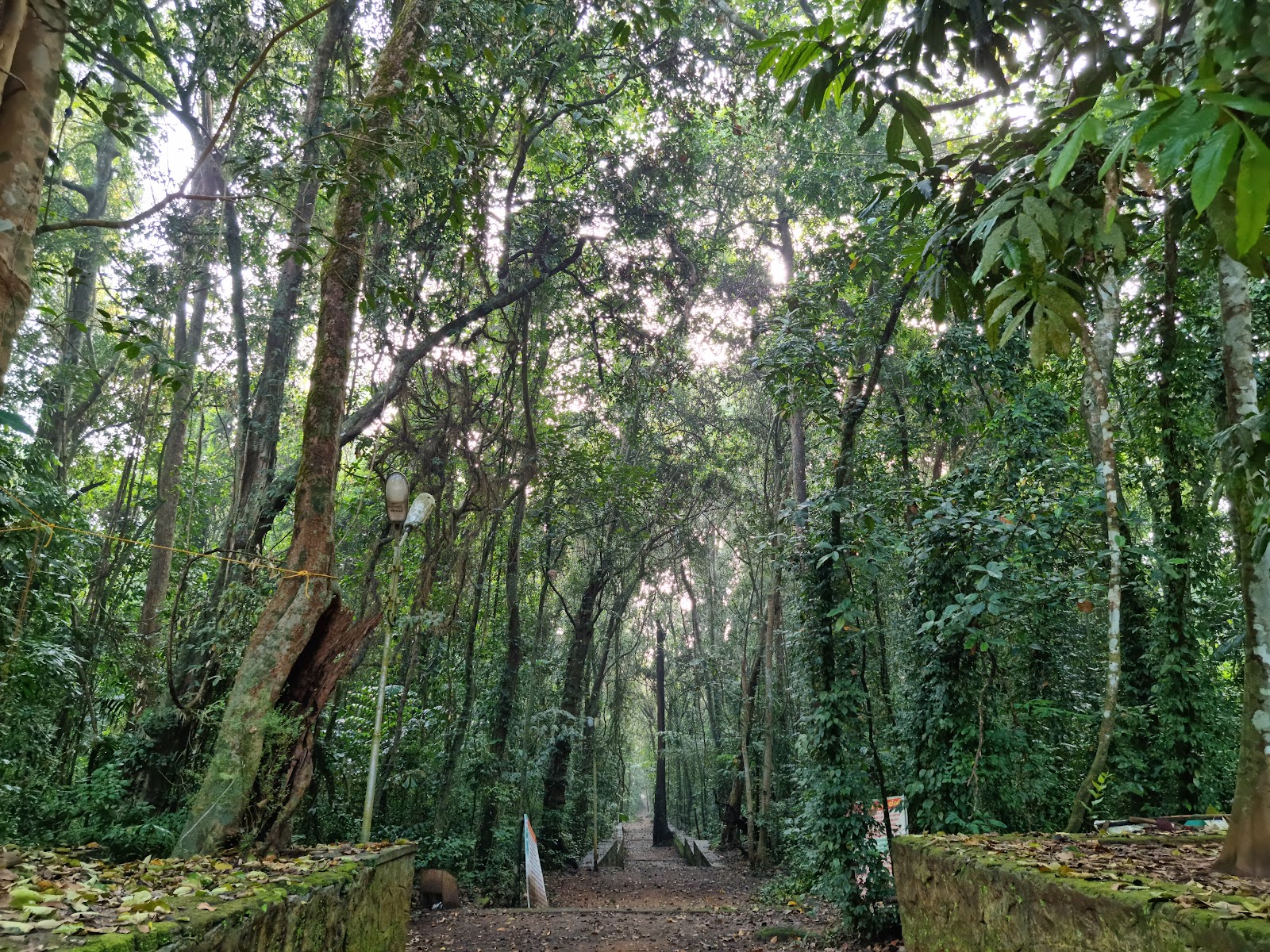 Iringole Forest Temple