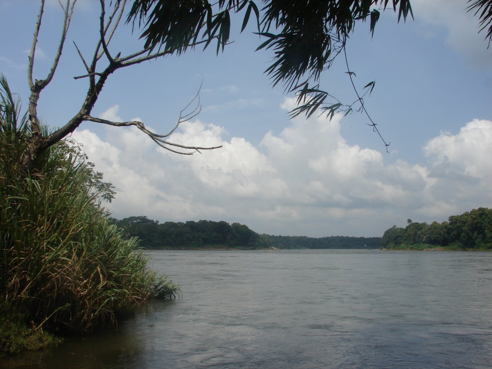 Kodanad Elephant Training Center