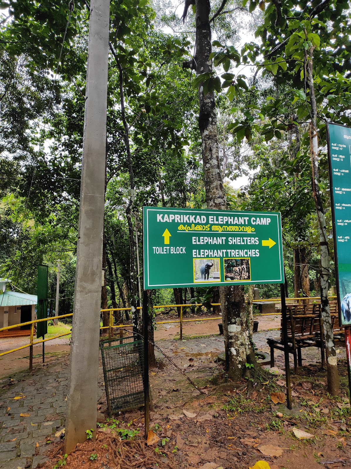 Kodanad Elephant Training Center