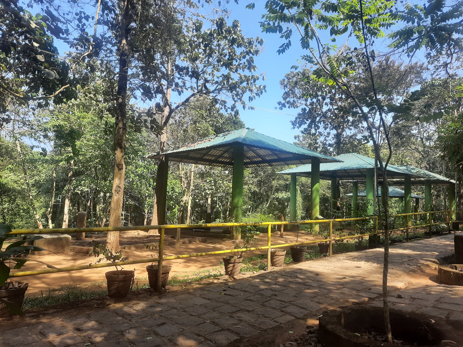 Kodanad Elephant Training Center