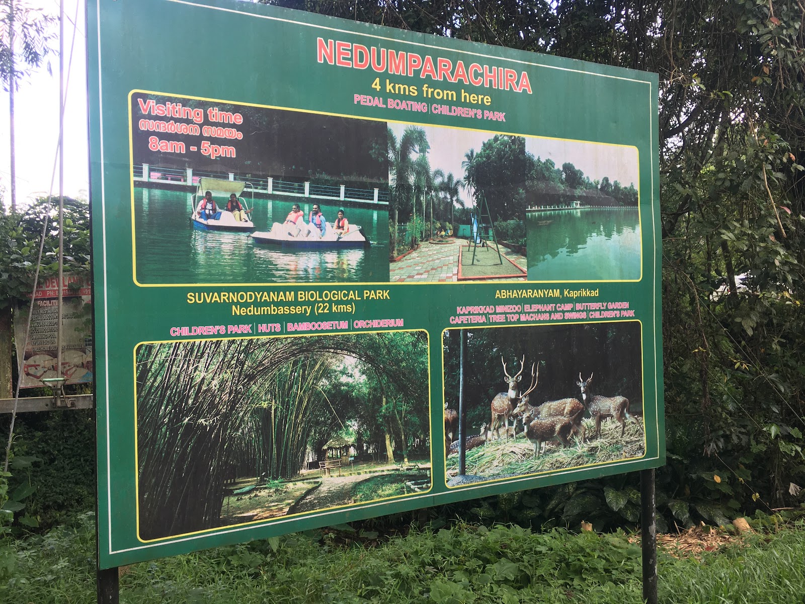 Kodanad Elephant Training Center