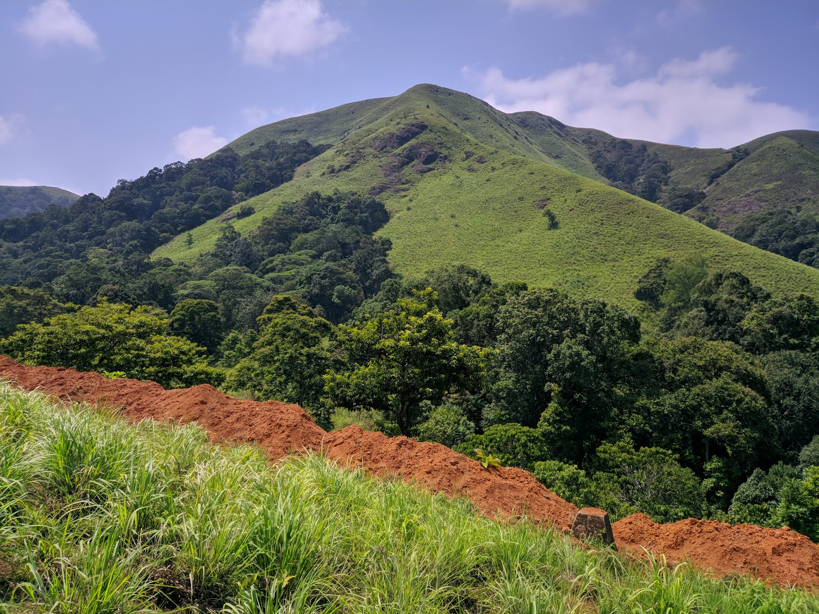 Periyar National Park