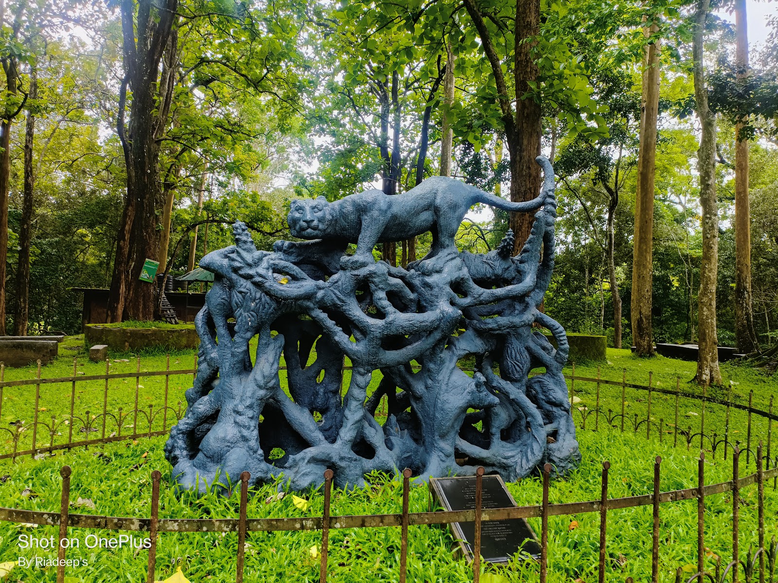 Periyar National Park