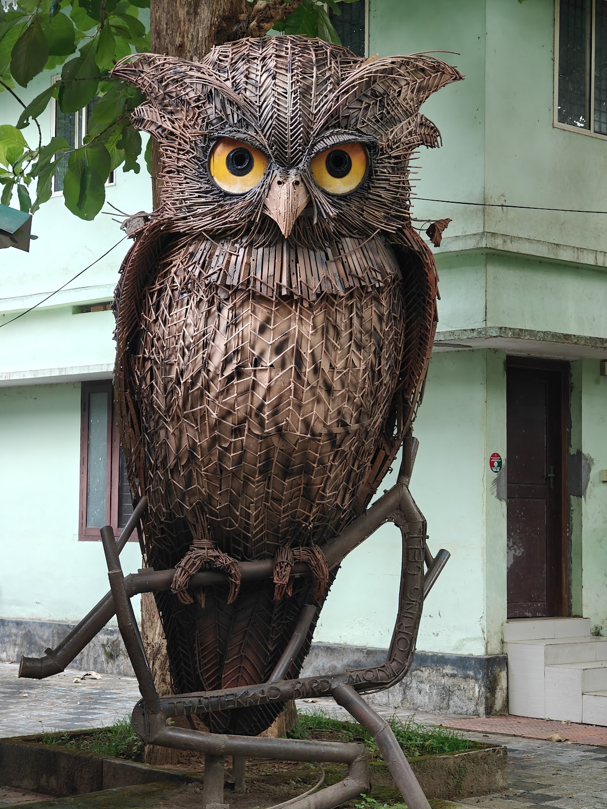 Thattekad Bird Sanctuary