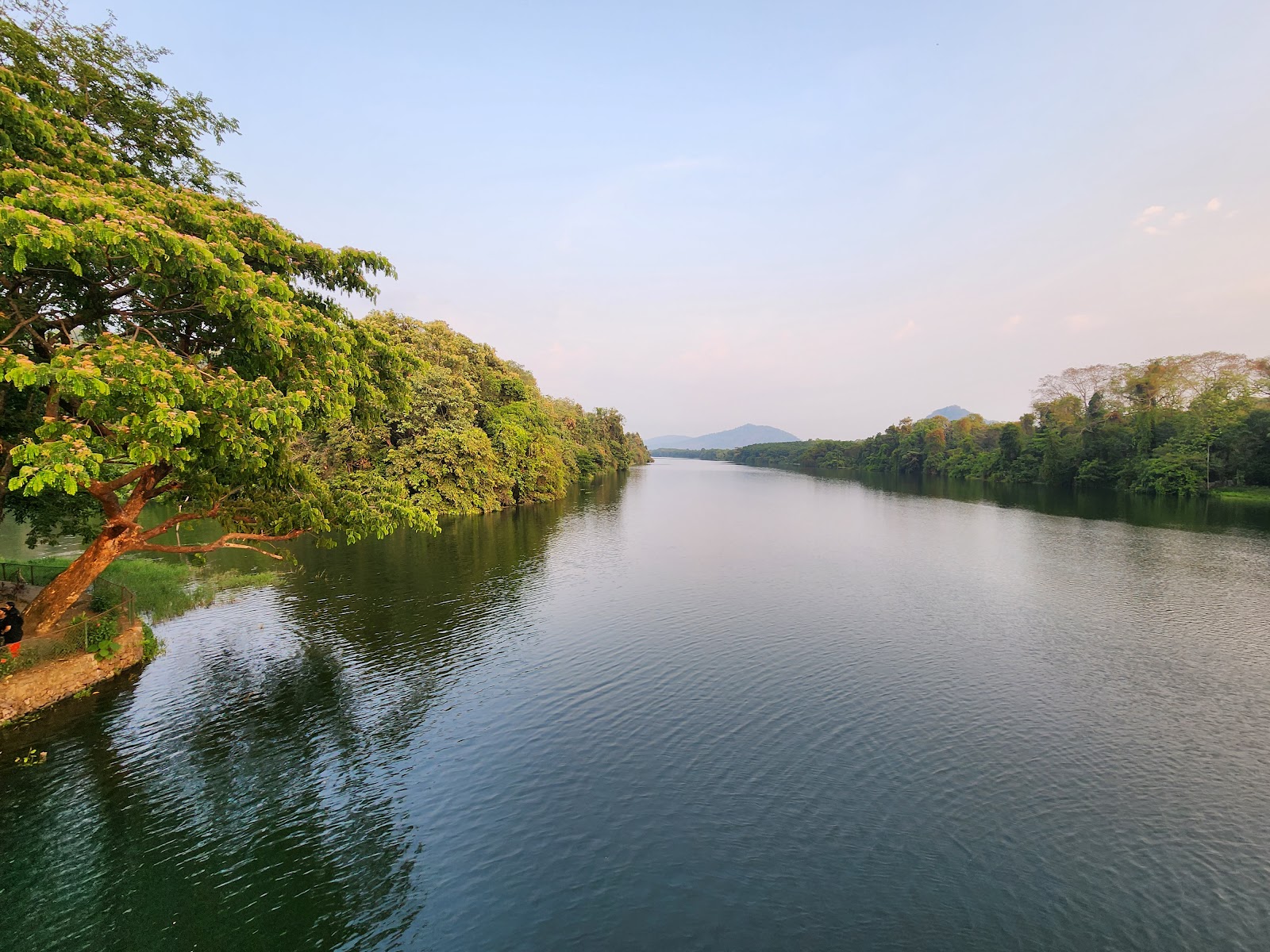 Thattekad Bird Sanctuary