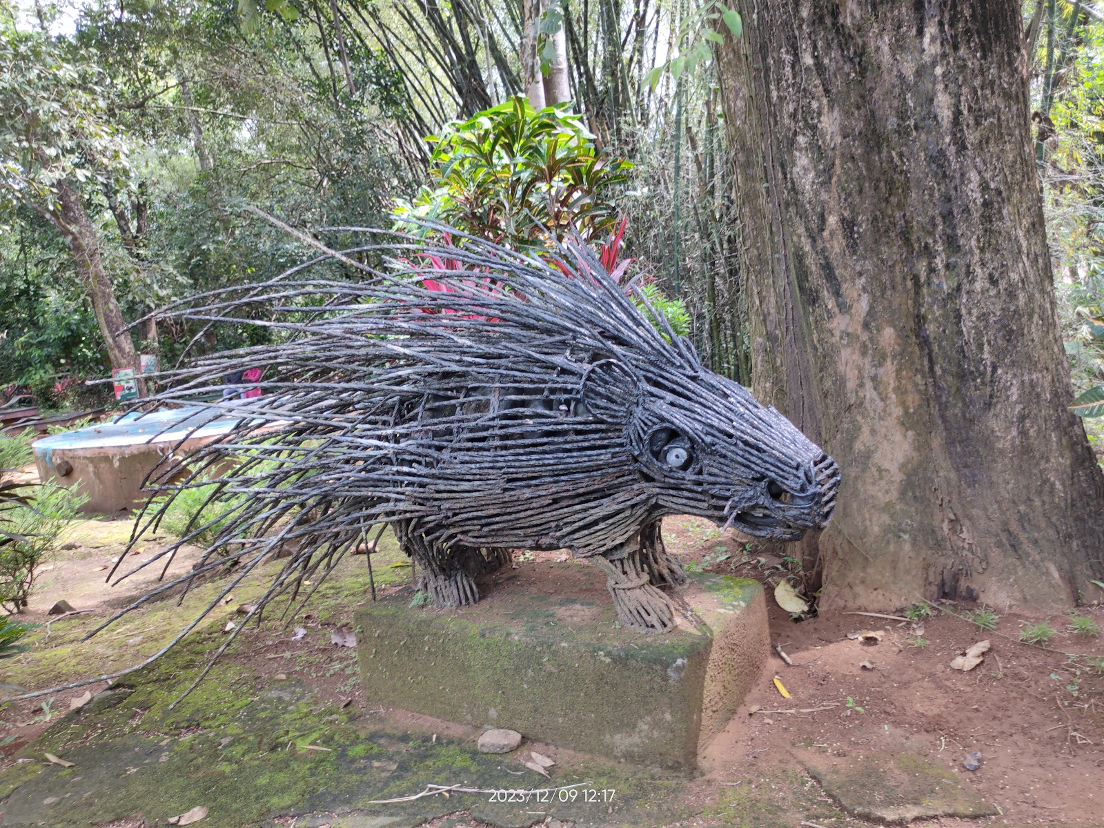 Thattekad Bird Sanctuary