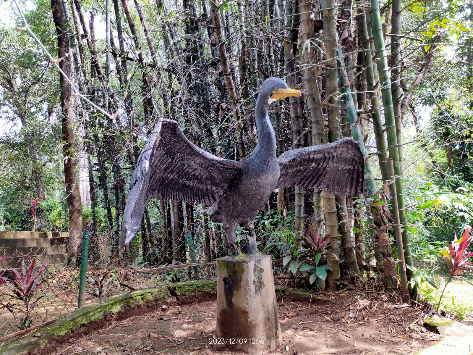 Thattekad Bird Sanctuary