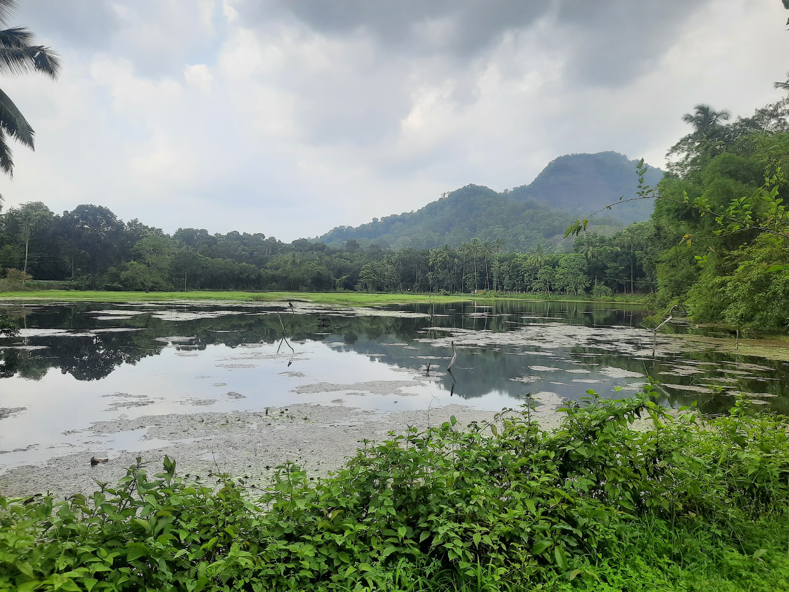 Thattekad Bird Sanctuary