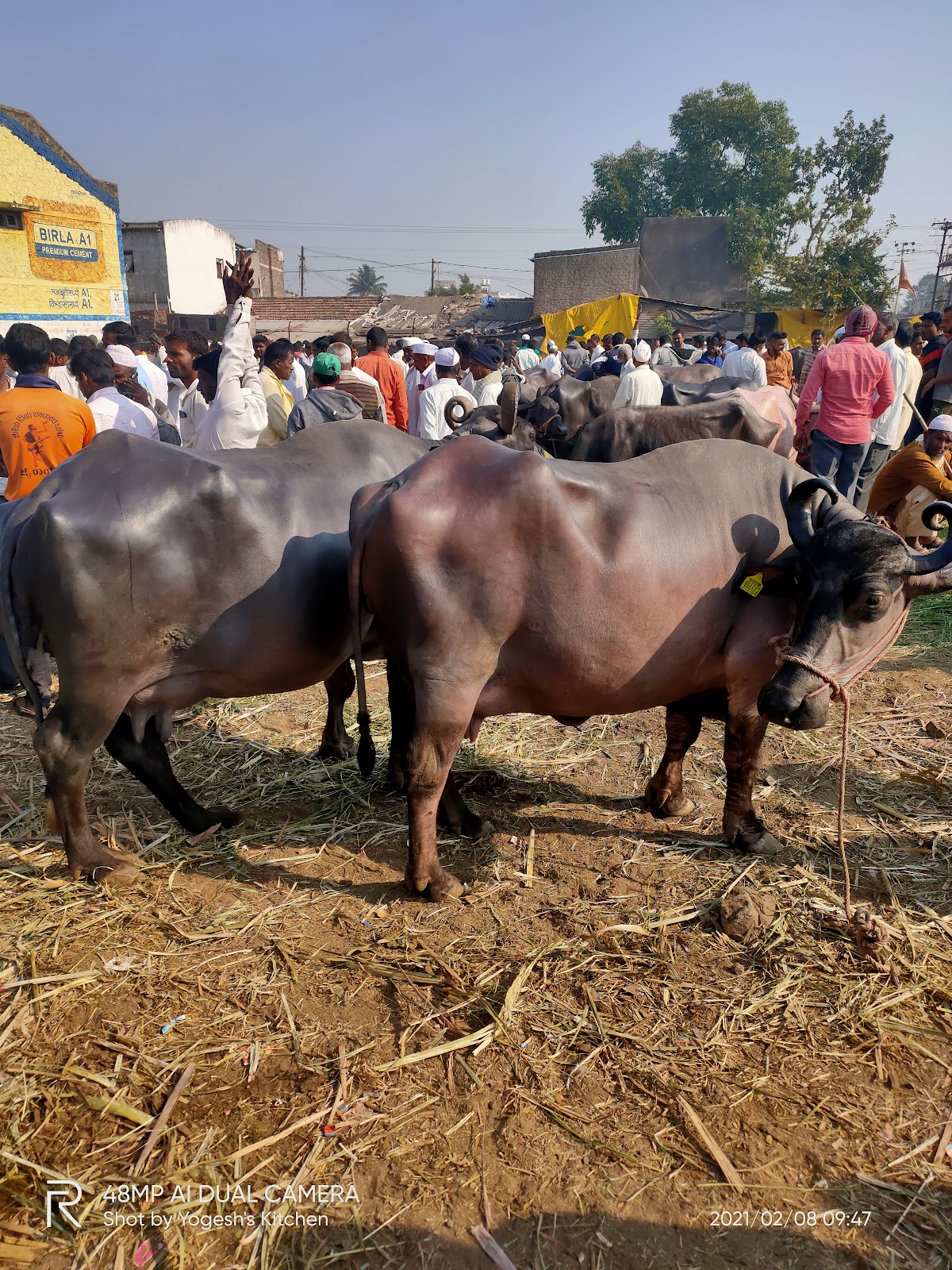 Weekly Market at Main Bazaar