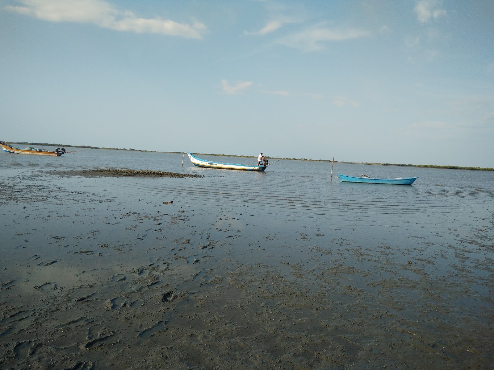 Pichavaram Backwaters