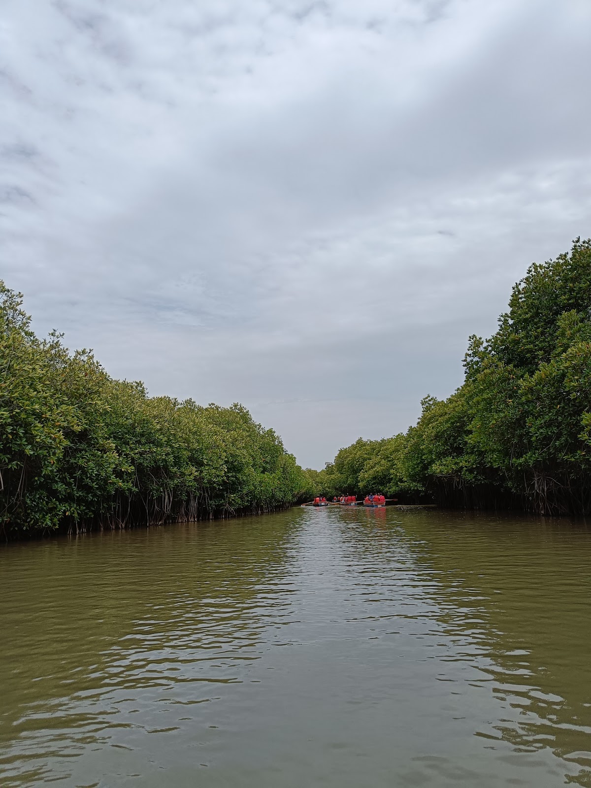 Pichavaram Backwaters