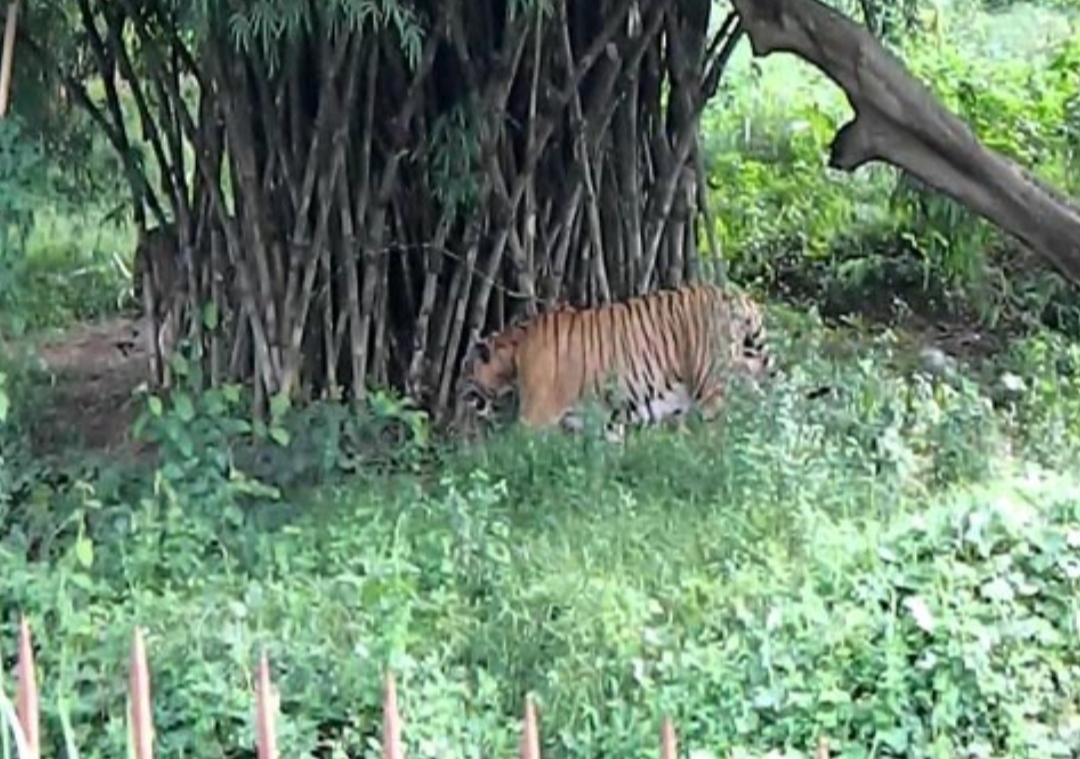 Sepahijala Wildlife Sanctuary