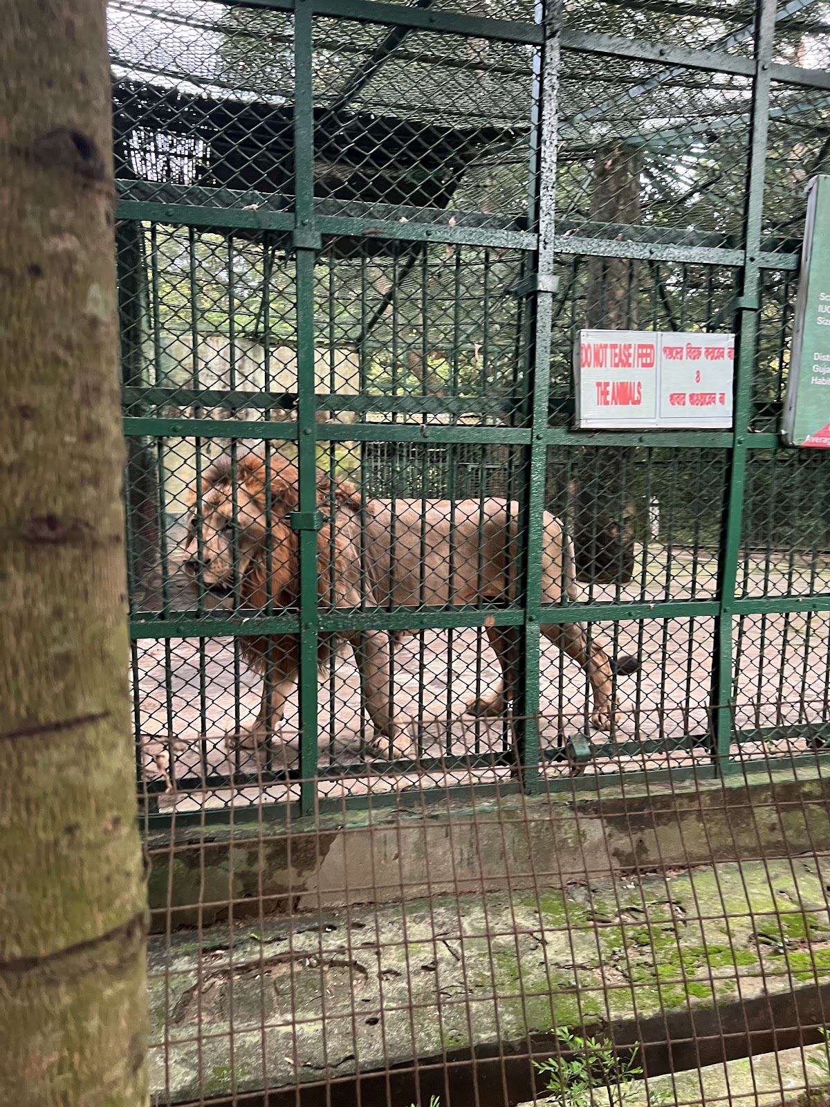 Sepahijala Wildlife Sanctuary