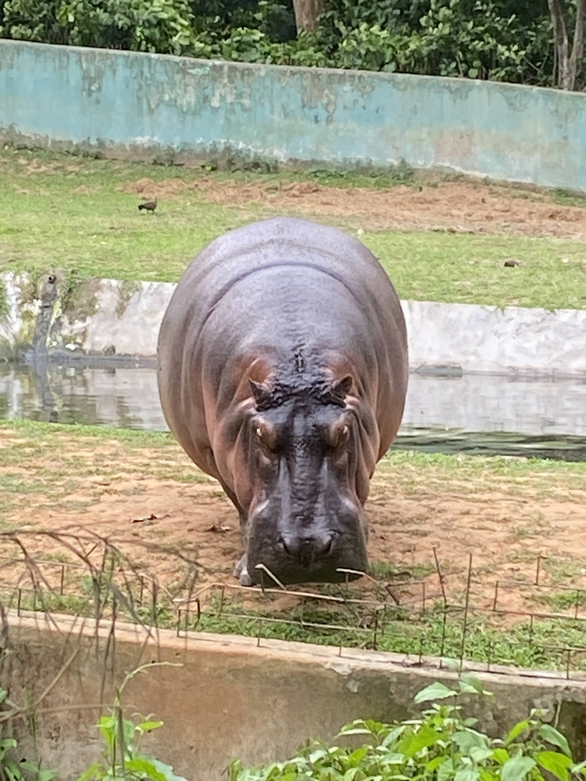 Sepahijala Wildlife Sanctuary