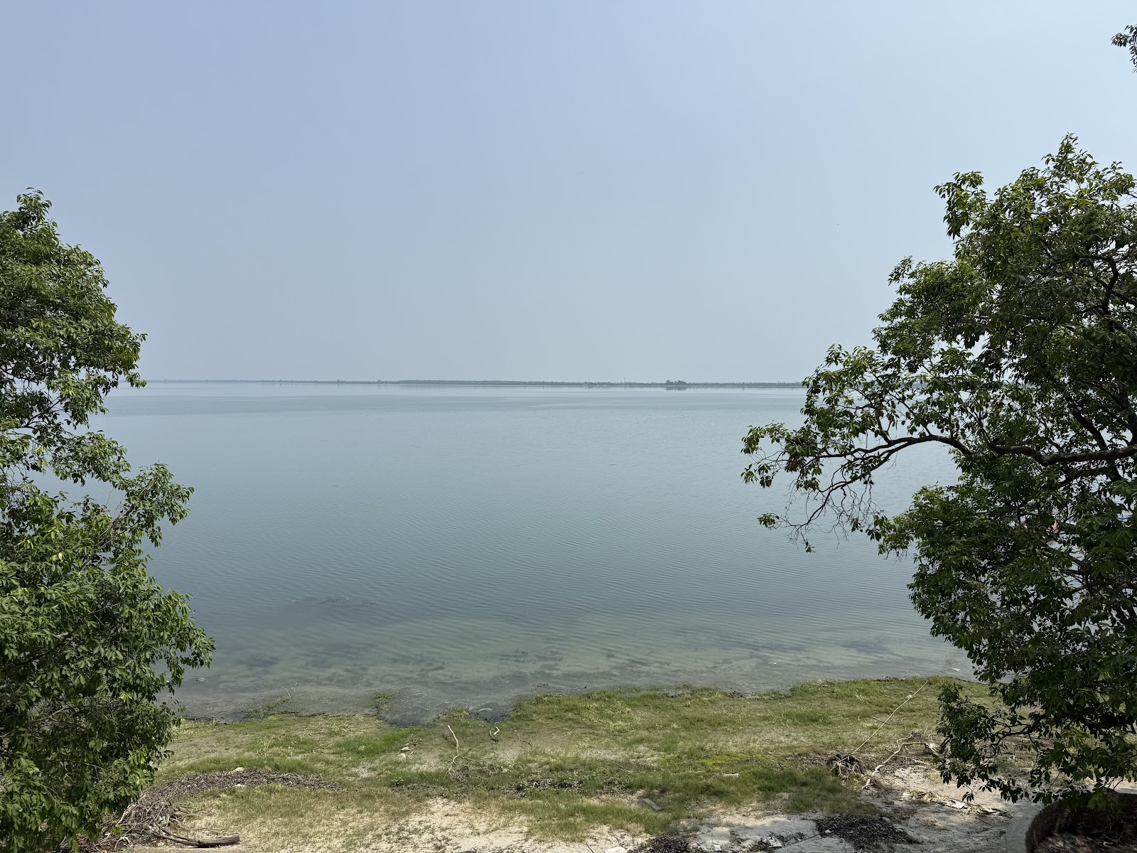 Pilibhit Tiger Reserve