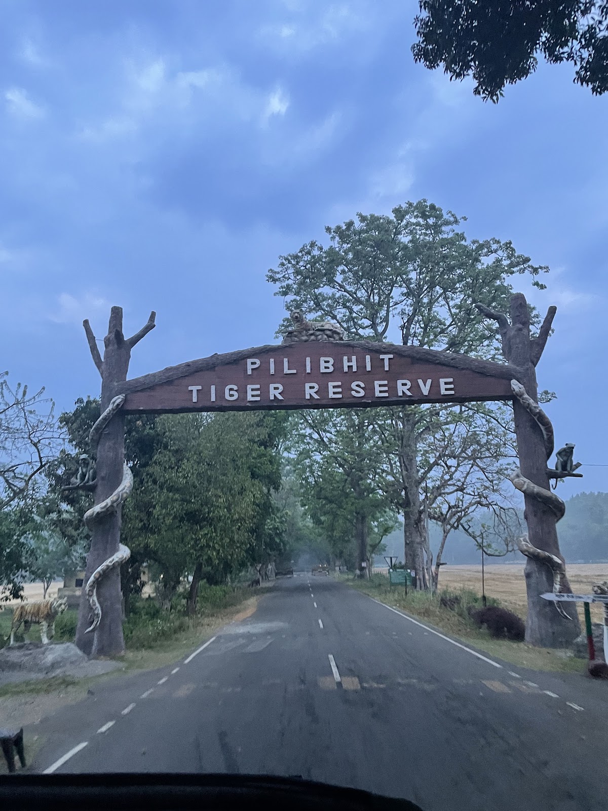 Pilibhit Tiger Reserve