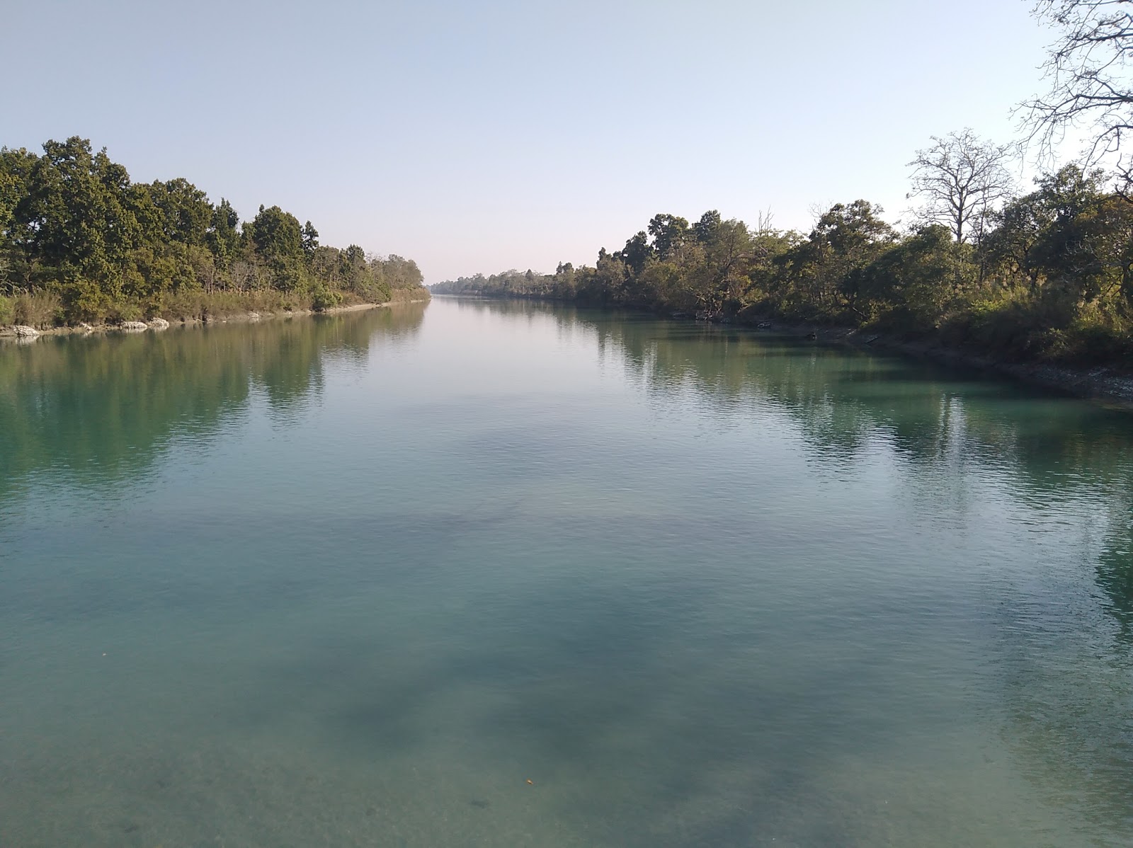 Pilibhit Tiger Reserve