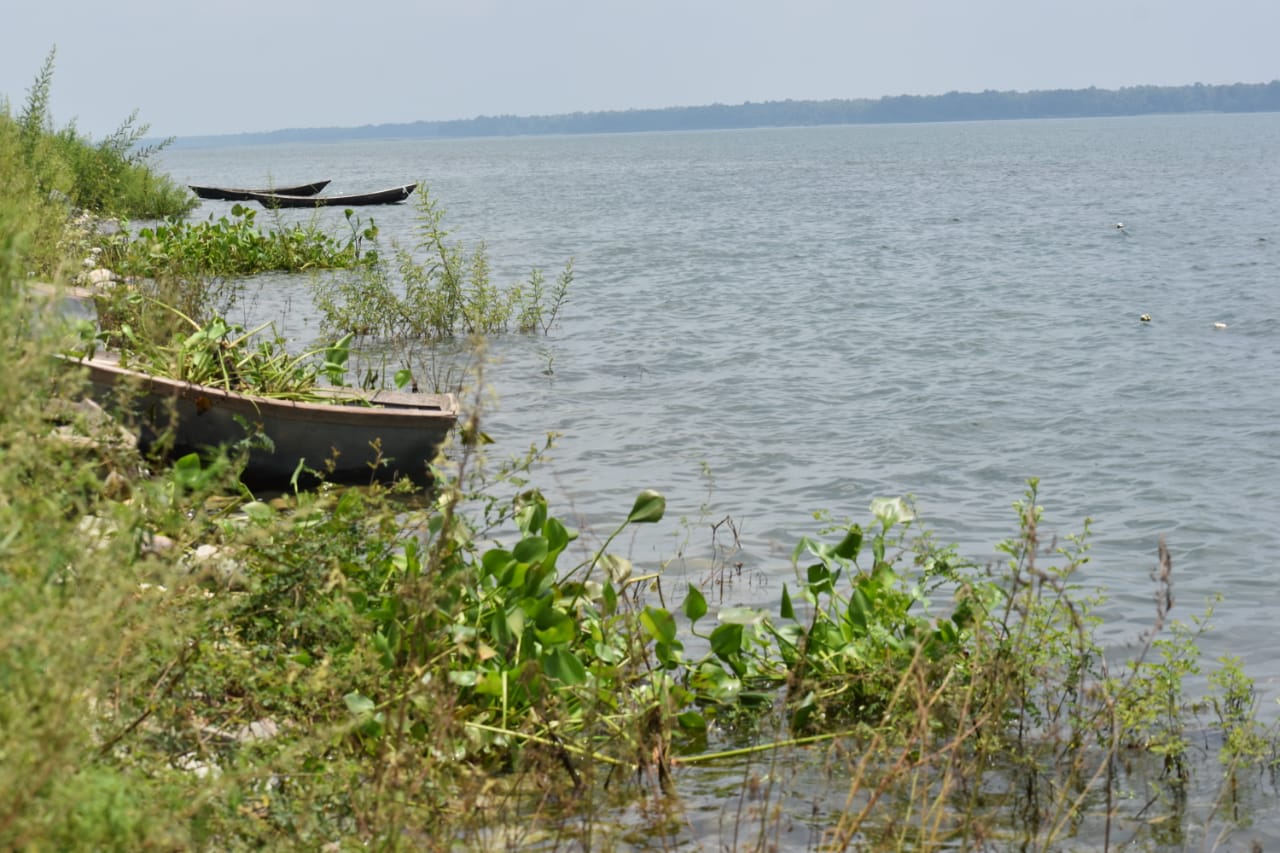 Pilibhit Tiger Reserve