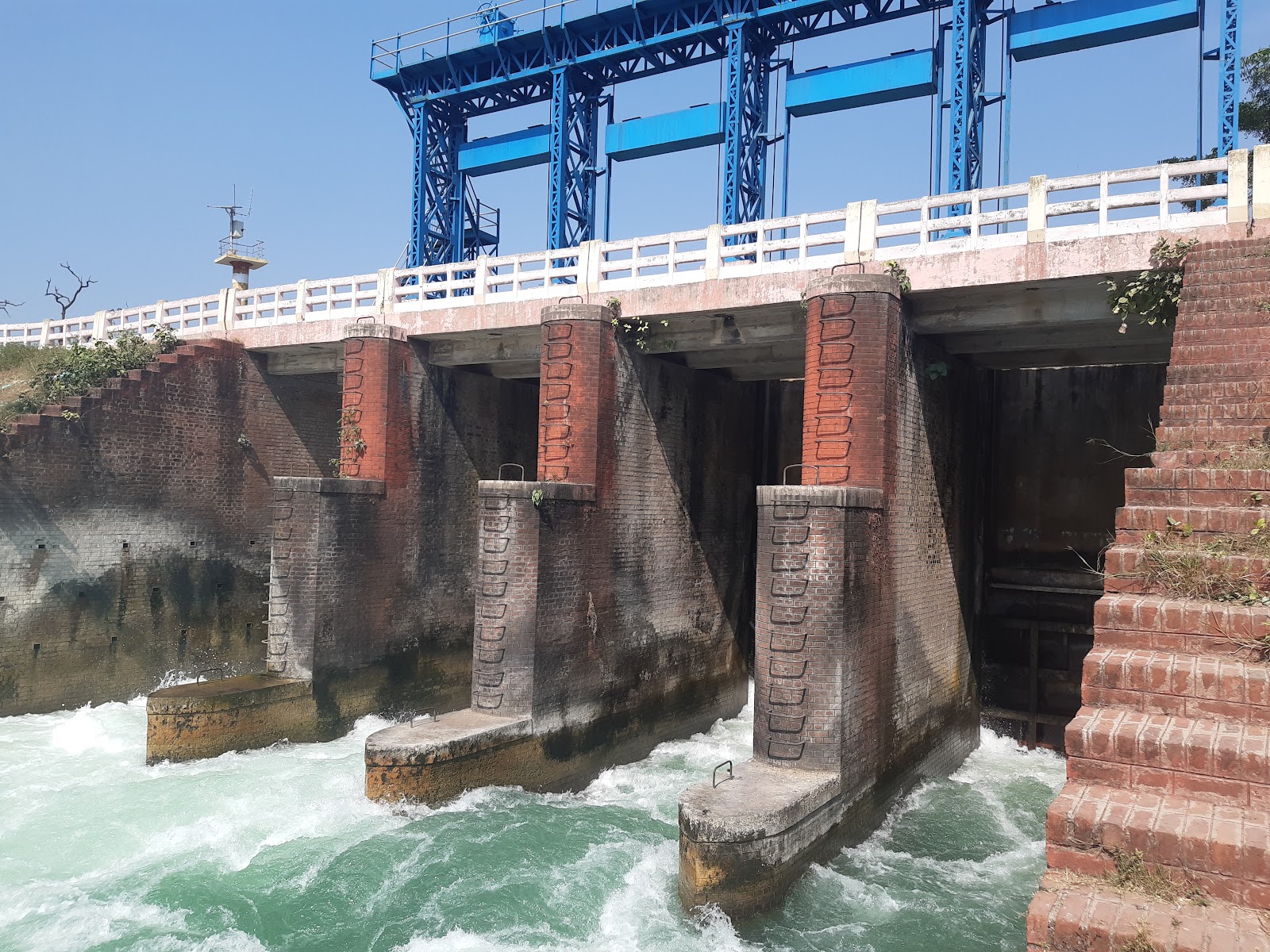 Pilibhit Tiger Reserve