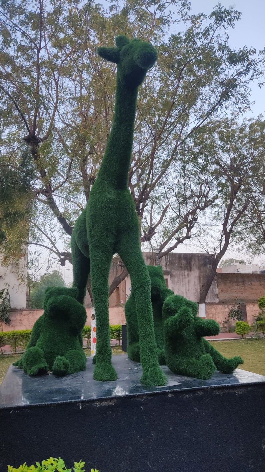Municipal Park Pindwara