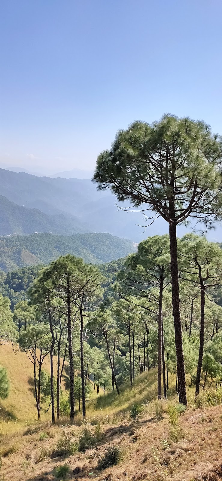 Kasauli Sunset Point