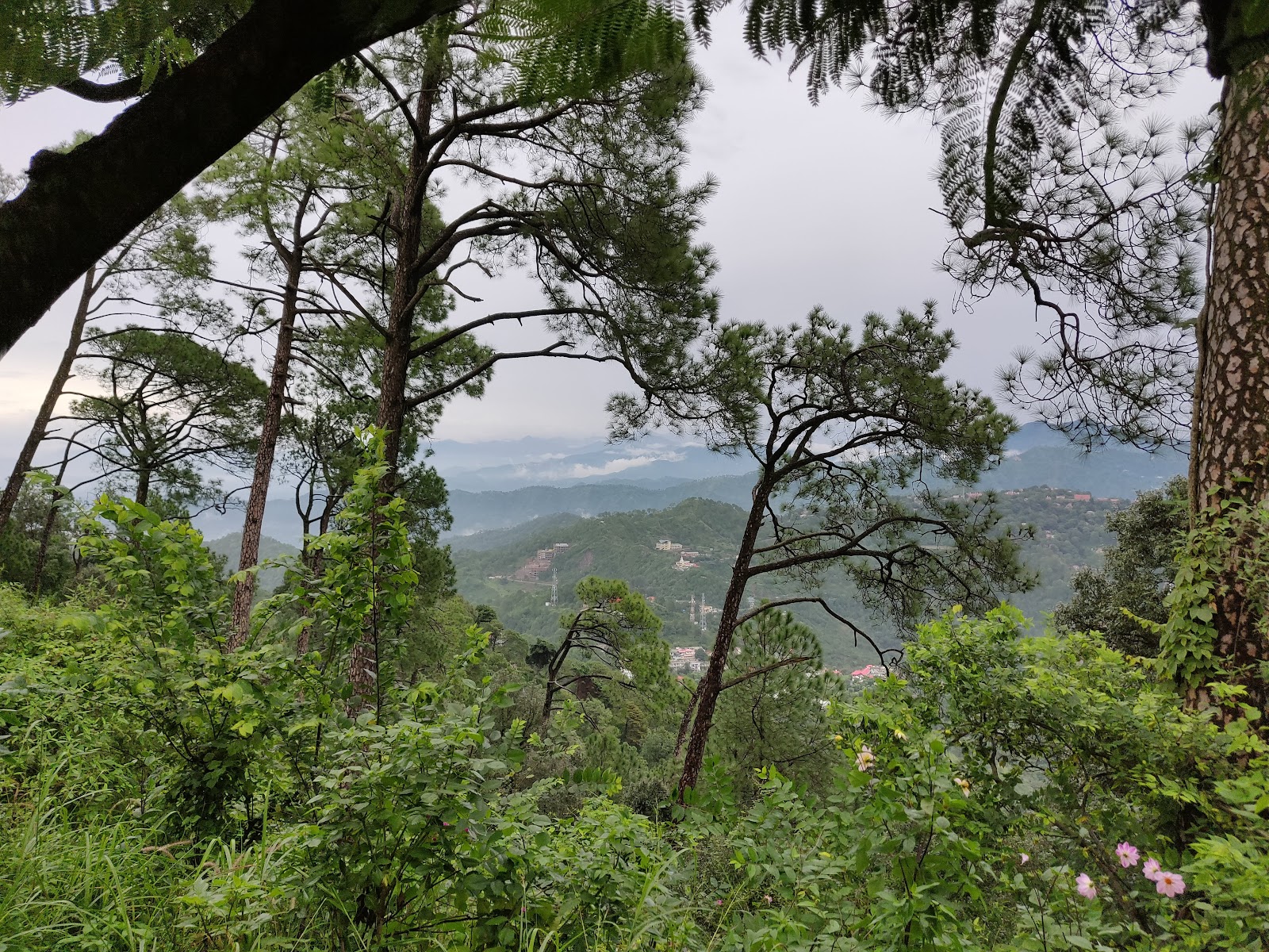 Kasauli Sunset Point