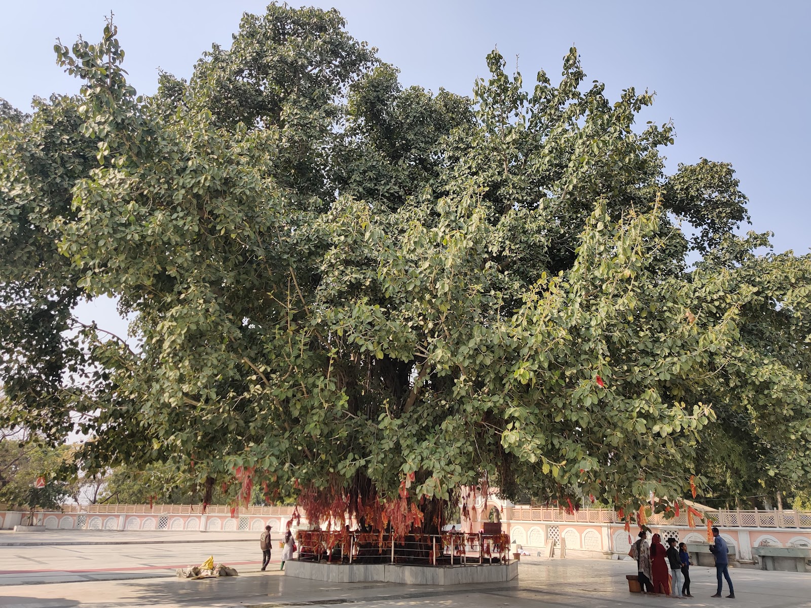 Mansa Devi Temple Panchkula