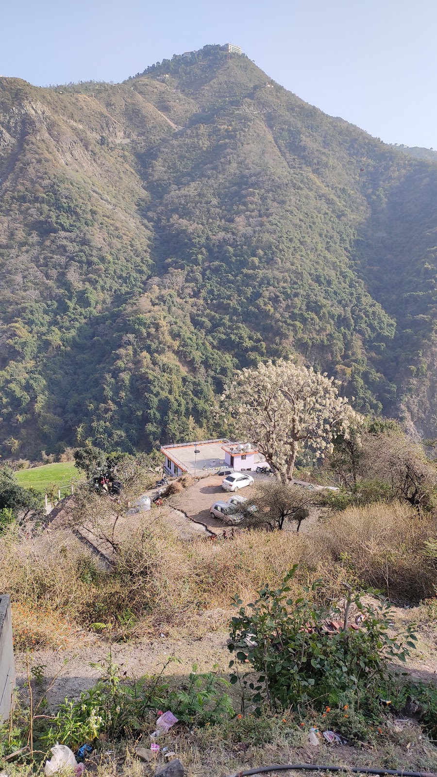 Timber Trail Parwanoo