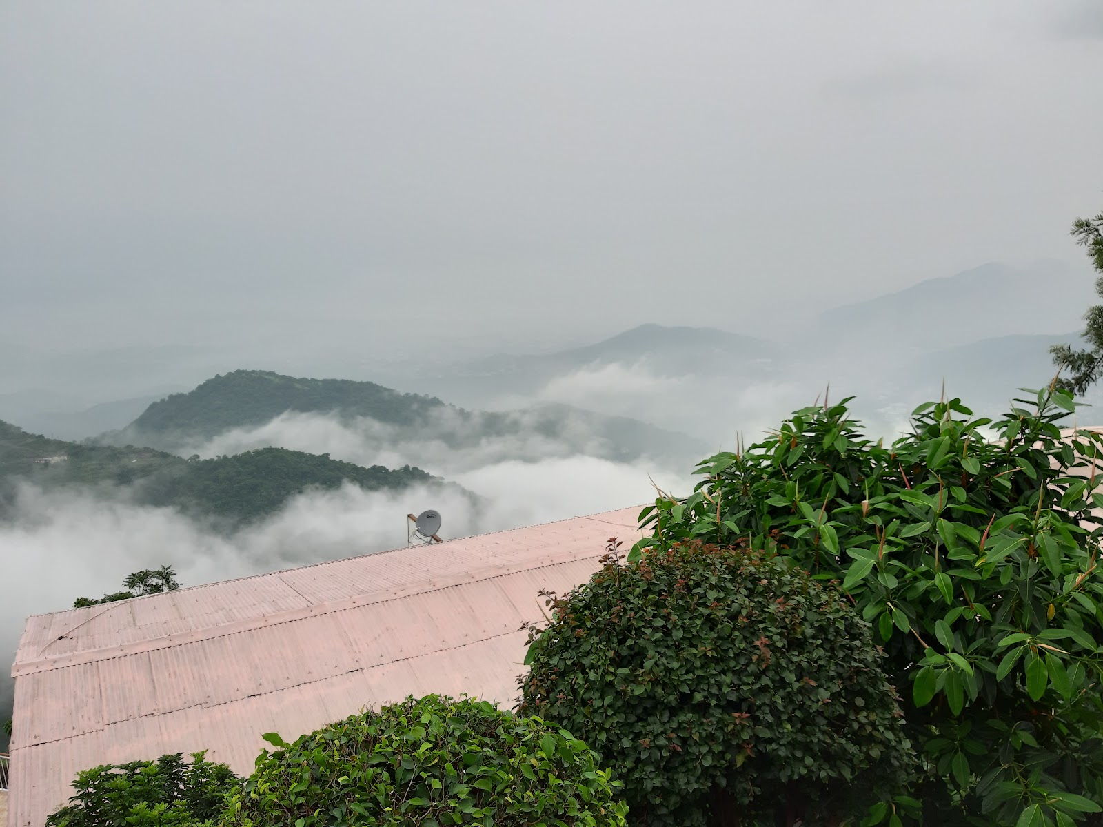 Timber Trail Parwanoo