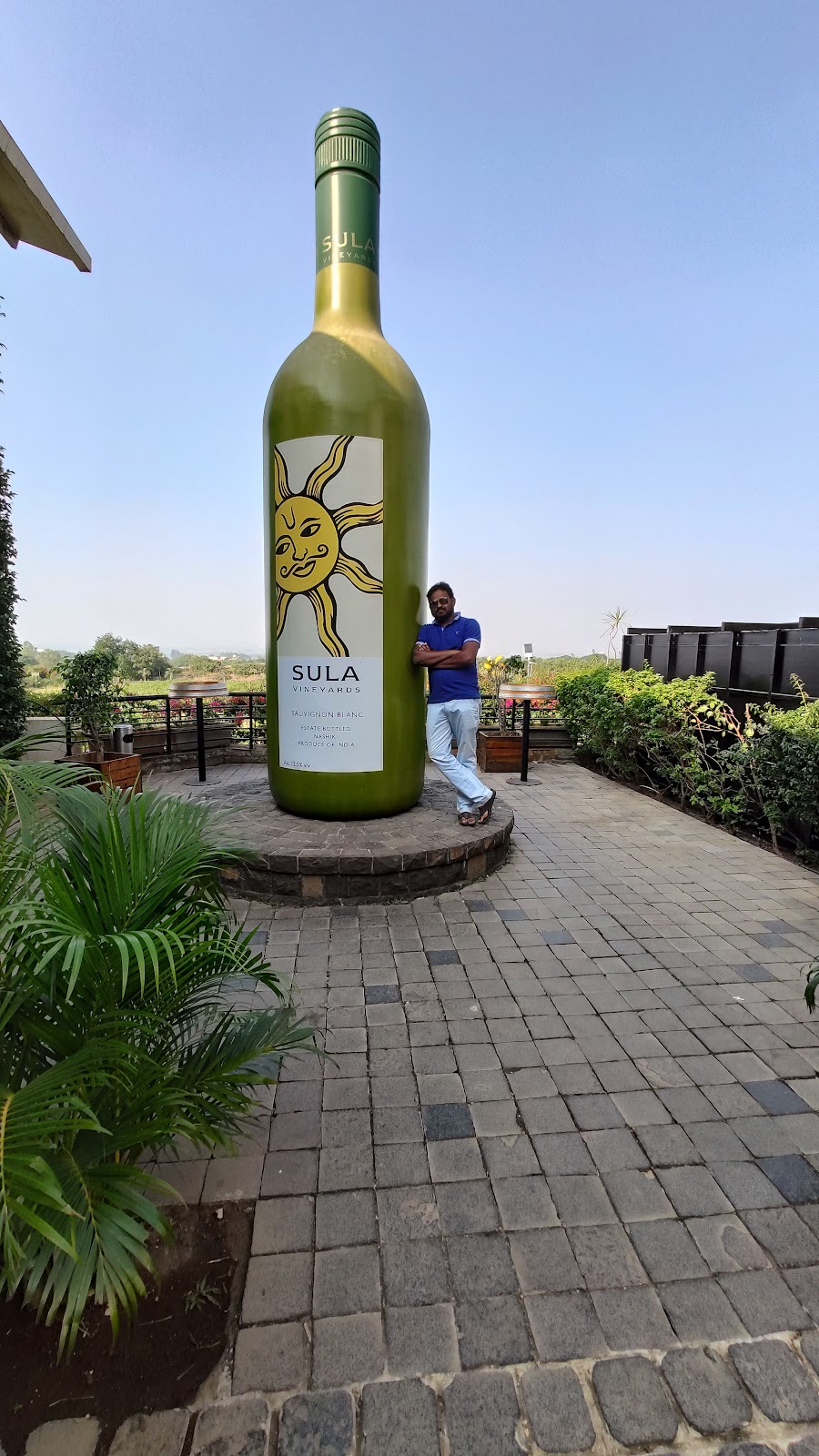 Nashik Wine Tours