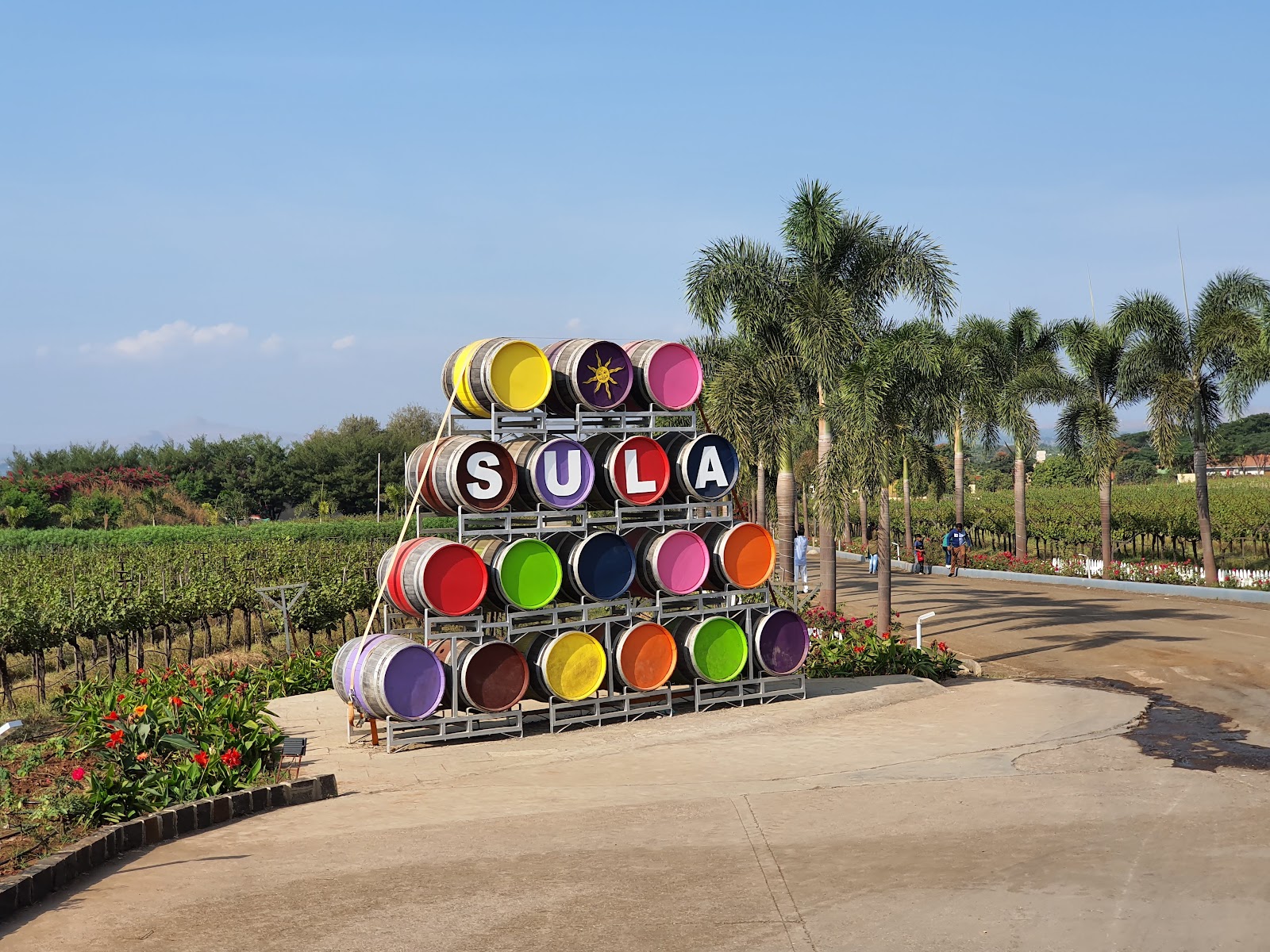 Sula Vineyards