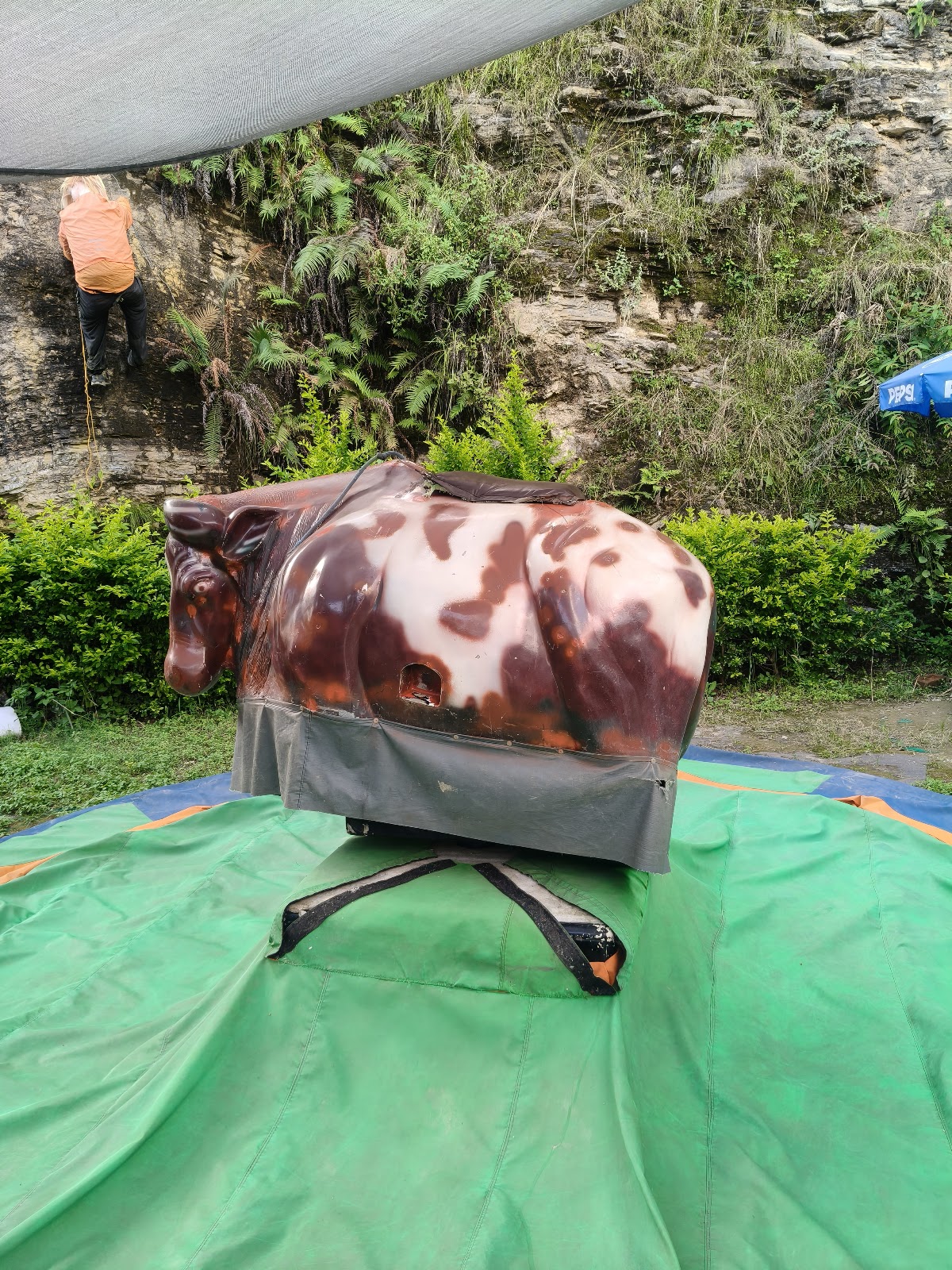 Attend Local Festivals