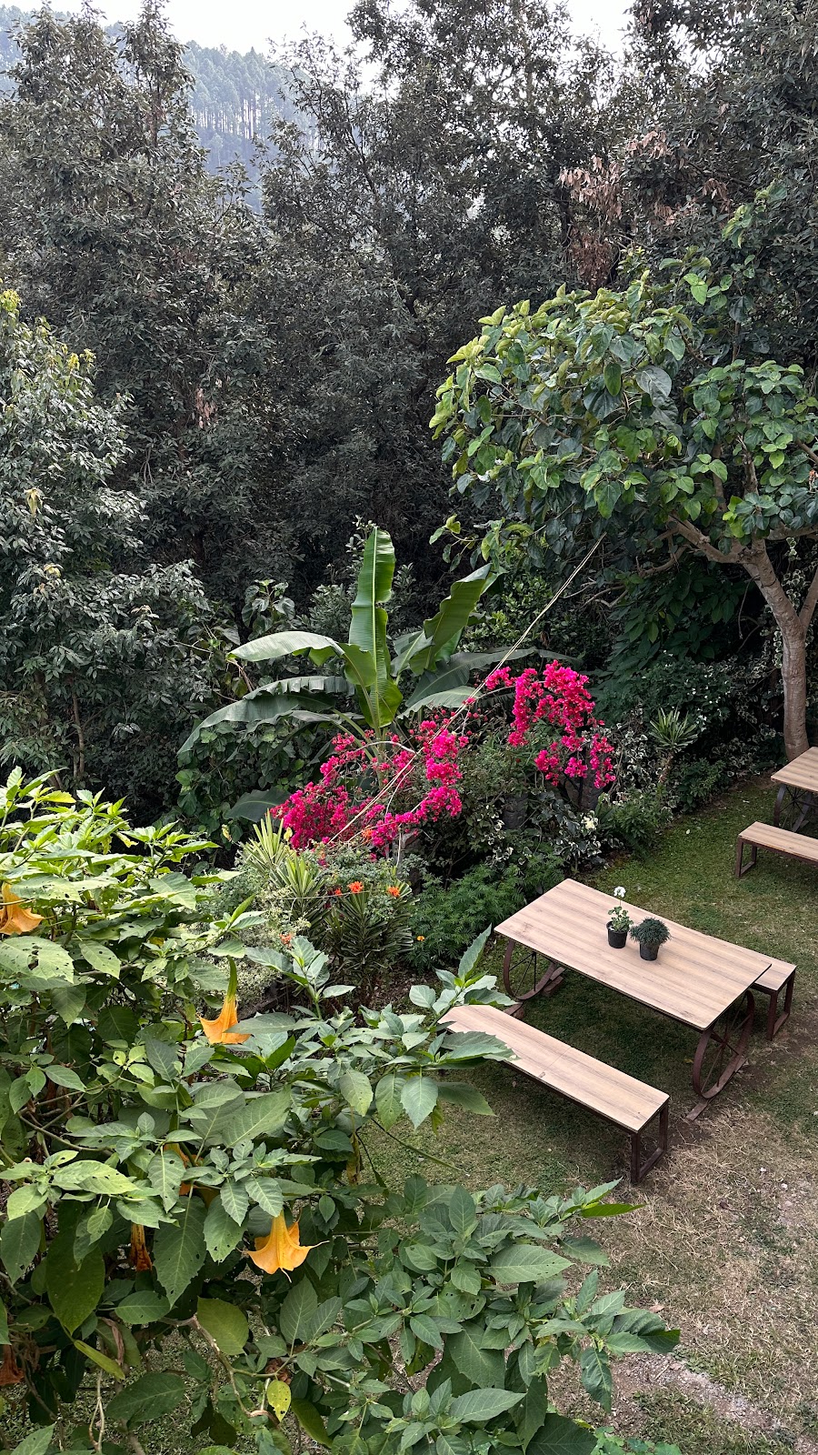 Bird Watching at Nearby Parks