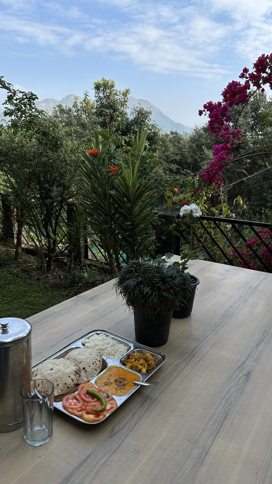 Bird Watching at Nearby Parks