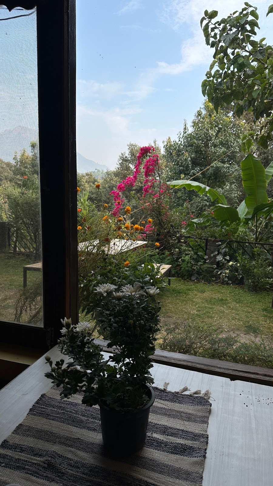 Bird Watching at Nearby Parks