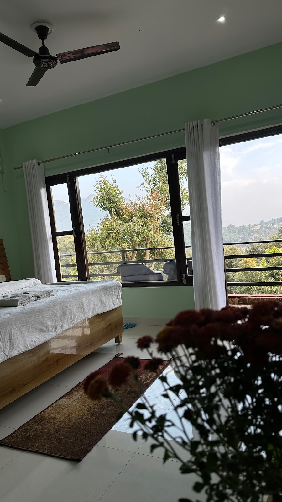 Bird Watching at Nearby Parks