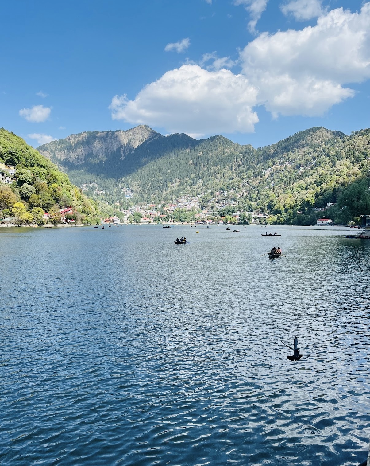 Naini Lake