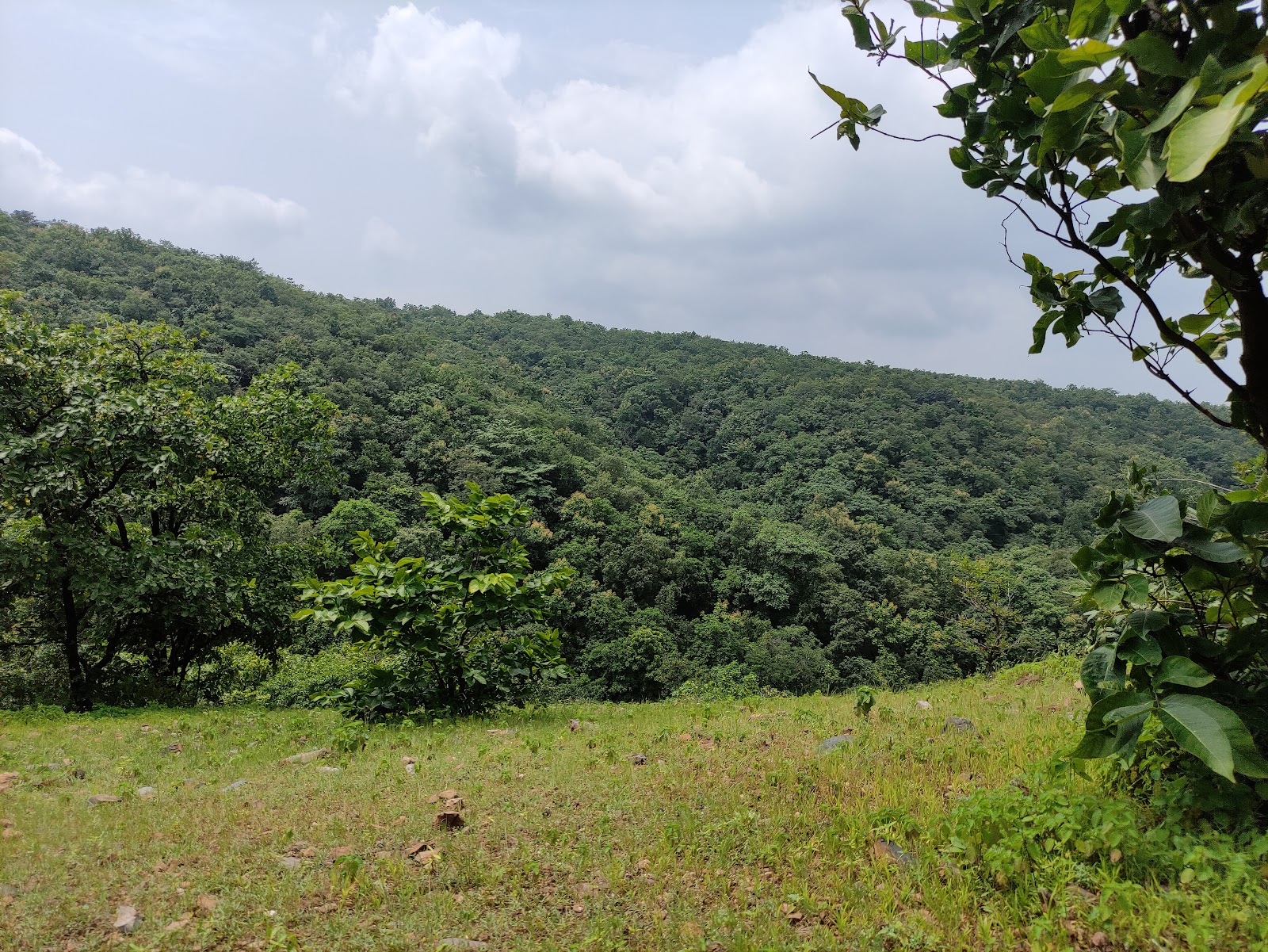 Jambughoda Wildlife Sanctuary