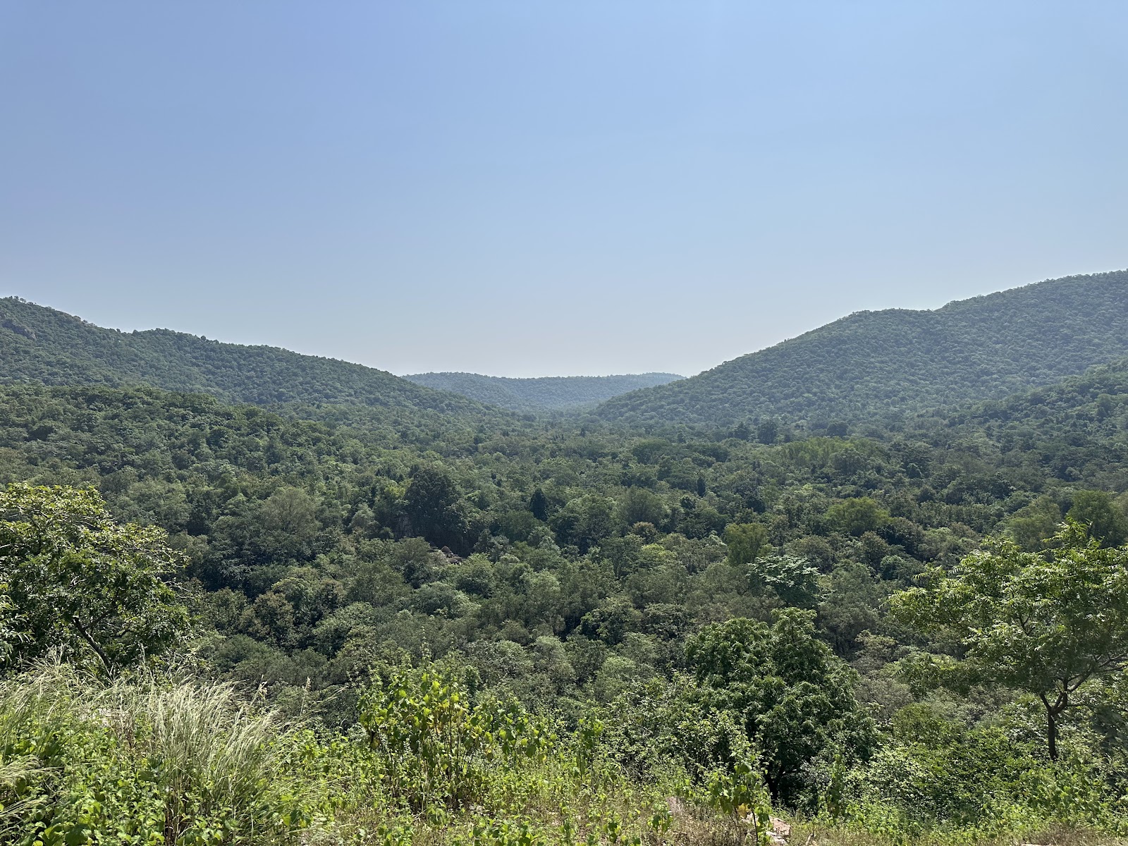 Polo Forest Wildlife Sanctuary