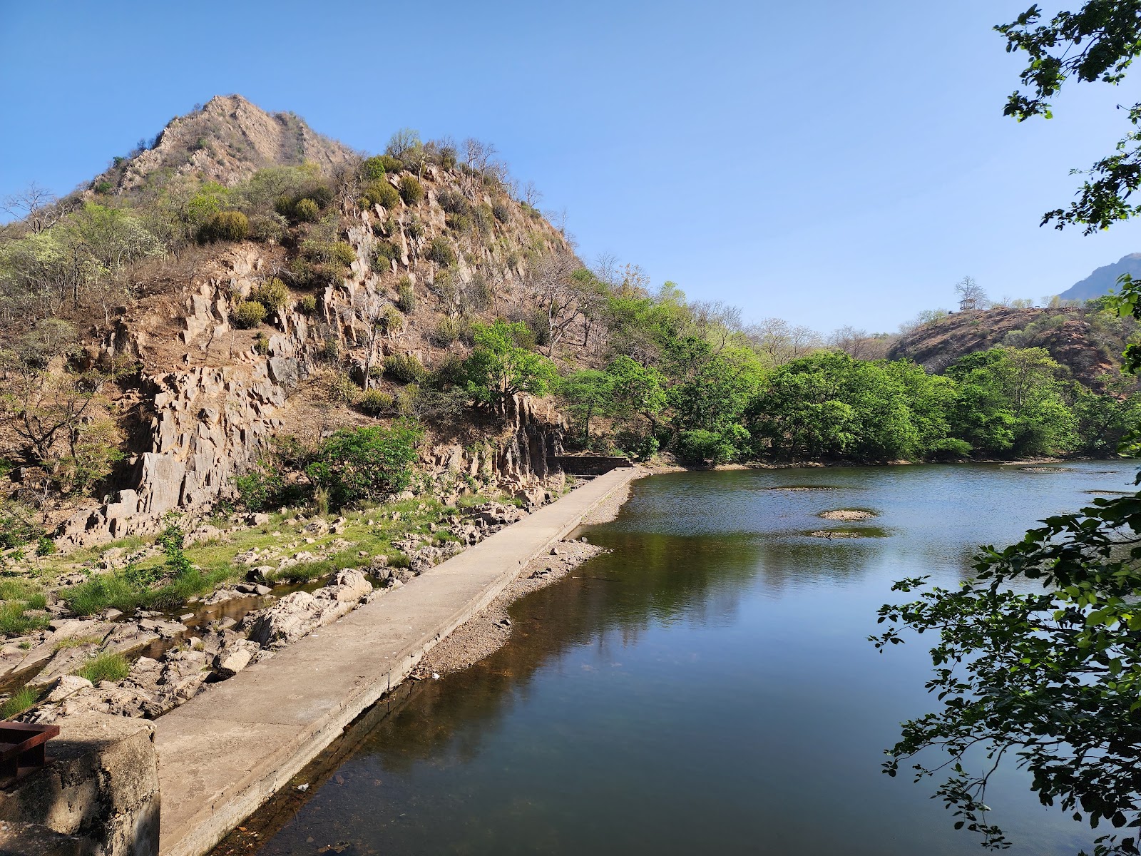 Polo Forest Wildlife Sanctuary