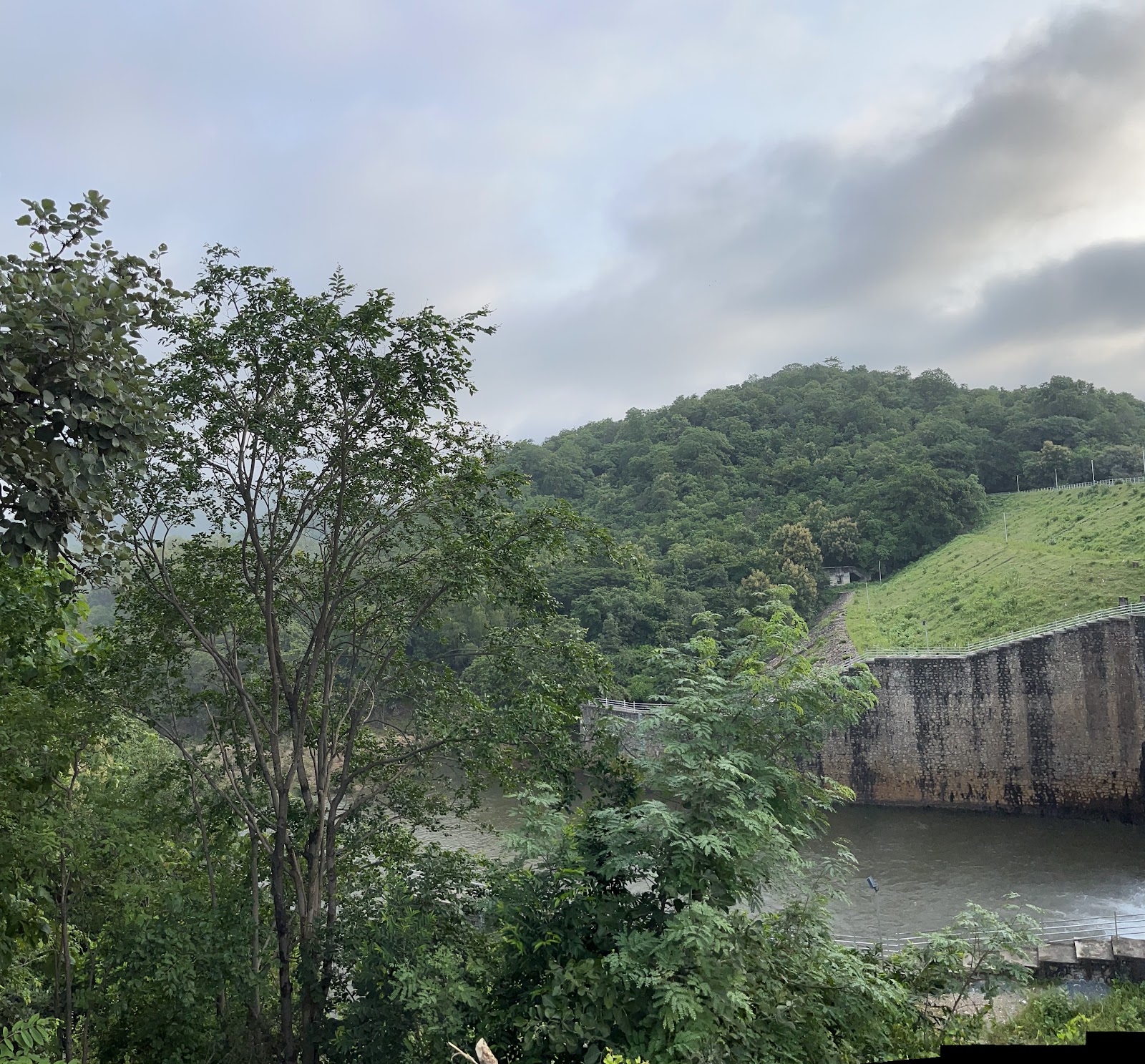 Polo Forest Wildlife Sanctuary