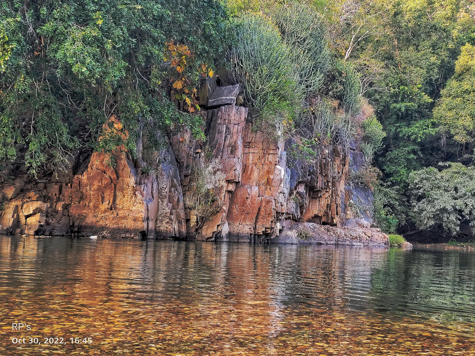 Polo Forest Wildlife Sanctuary