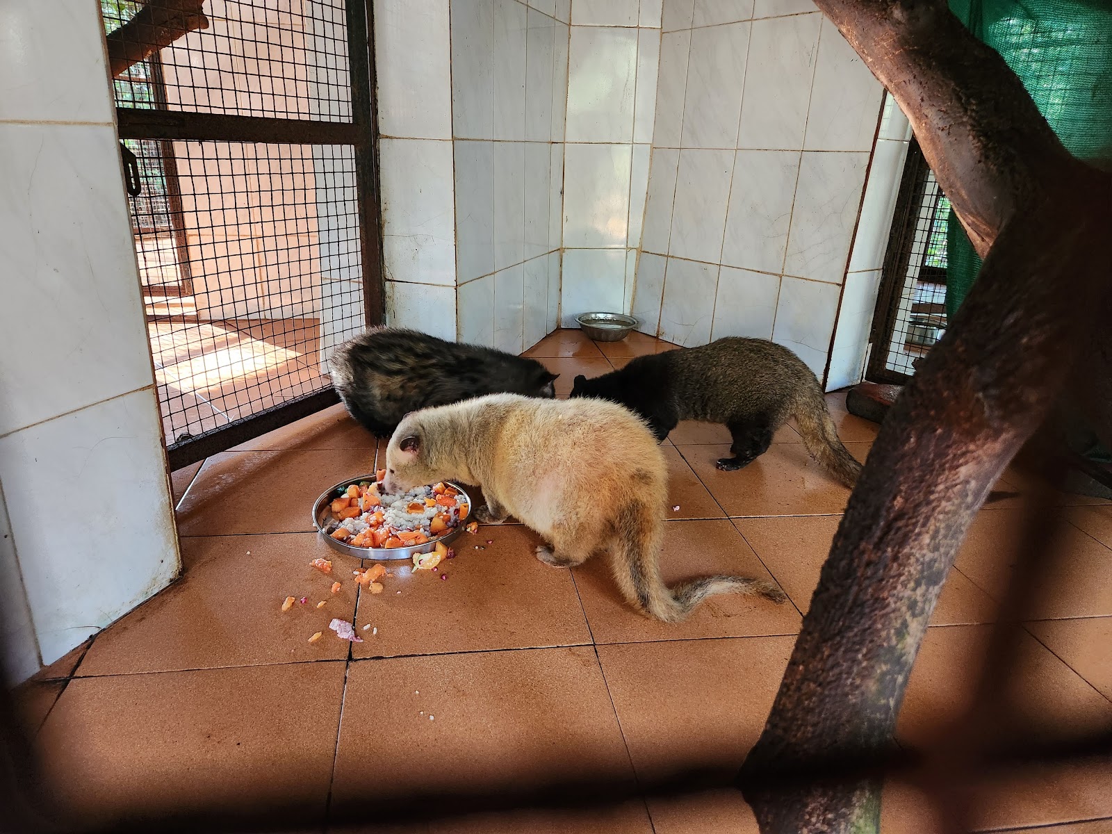 Bondla Wildlife Sanctuary